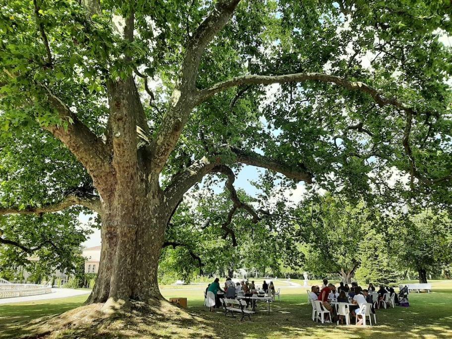 Un séjour d'exception au Logis du Château Saint-Pierre-de-l'Isle Extérieur photo