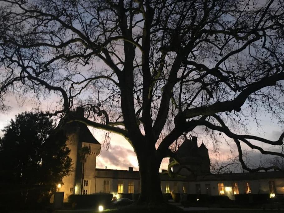 Un séjour d'exception au Logis du Château Saint-Pierre-de-l'Isle Extérieur photo