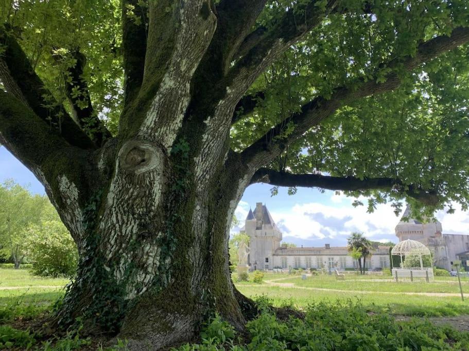 Un séjour d'exception au Logis du Château Saint-Pierre-de-l'Isle Extérieur photo