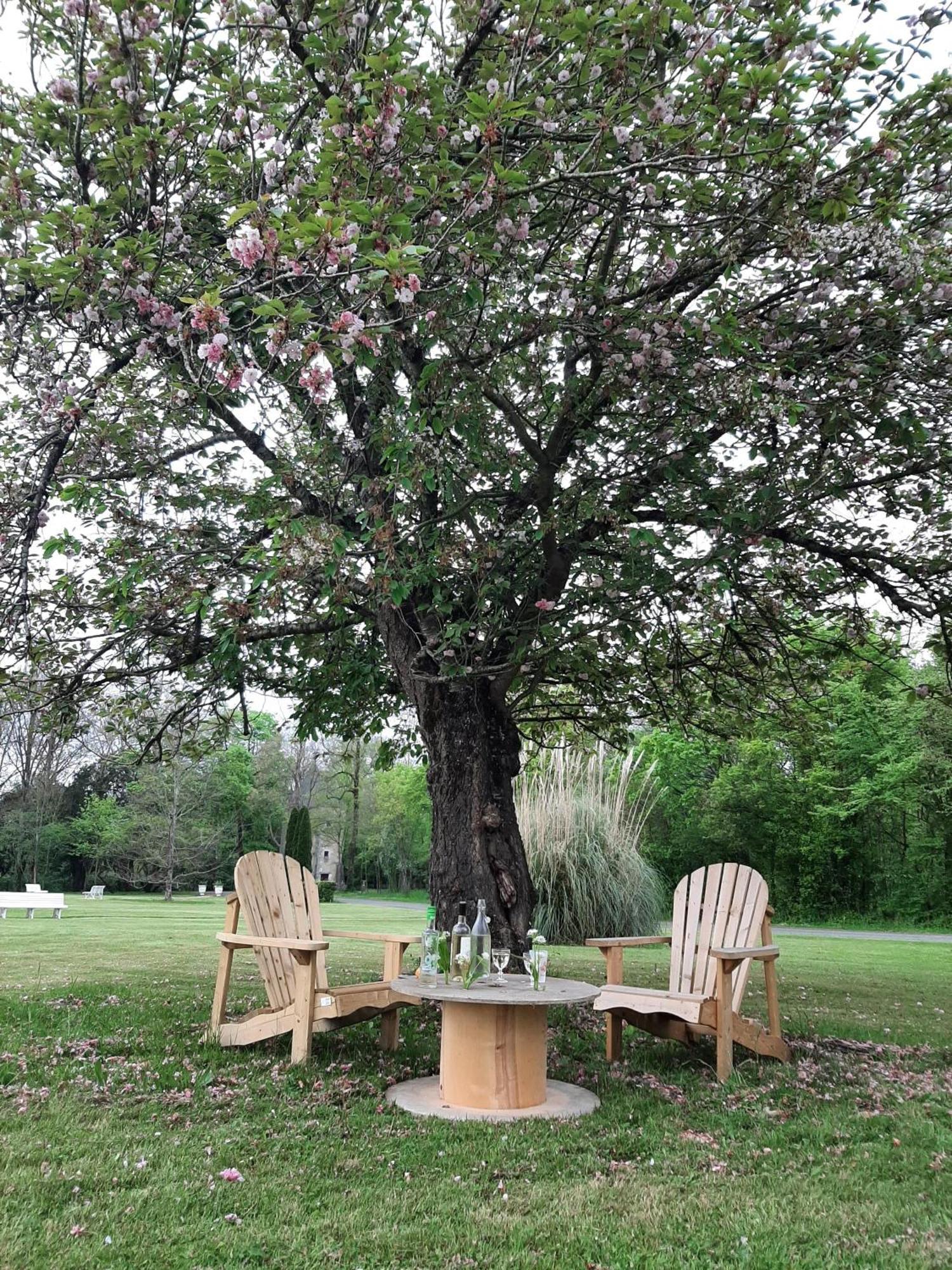 Un séjour d'exception au Logis du Château Saint-Pierre-de-l'Isle Extérieur photo